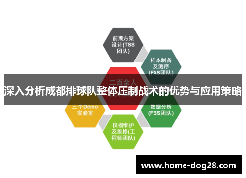 深入分析成都排球队整体压制战术的优势与应用策略