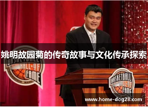 姚明故园菊的传奇故事与文化传承探索