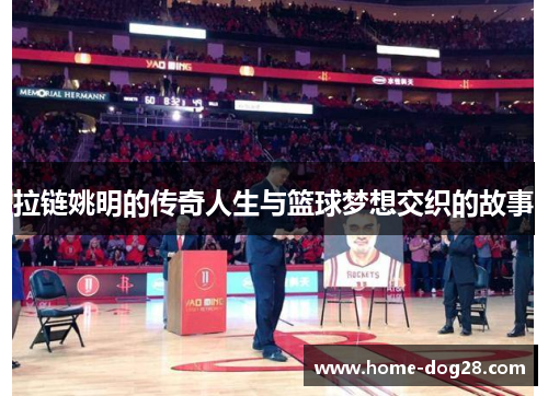 拉链姚明的传奇人生与篮球梦想交织的故事