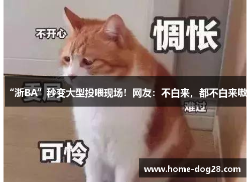 “浙BA”秒变大型投喂现场！网友：不白来，都不白来嗷！