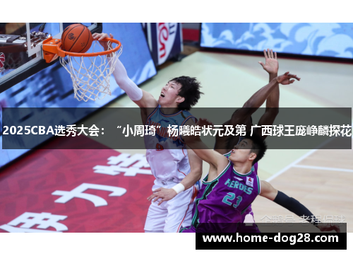 2025CBA选秀大会：“小周琦”杨曦皓状元及第 广西球王庞峥麟探花